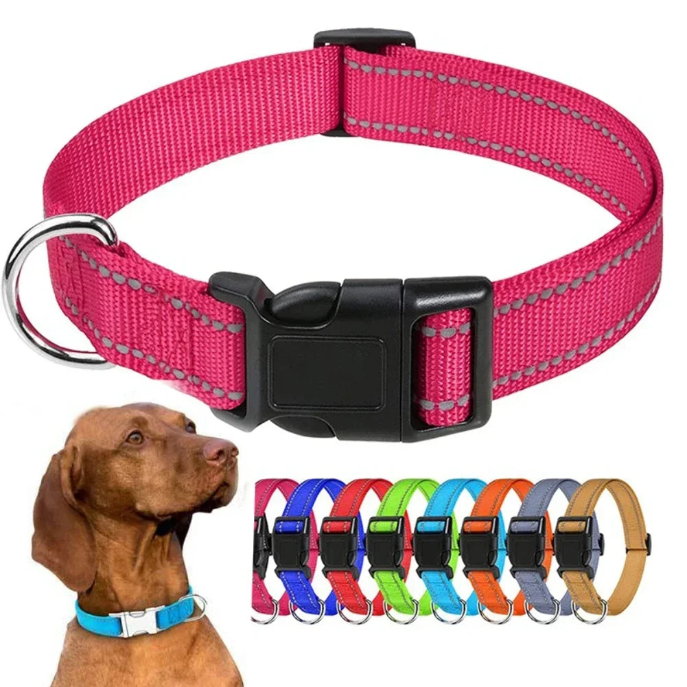 Collier nylon robuste – Petit chien & chiot – vue principale