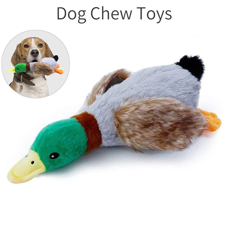 Canard sonore en peluche avec corde – Pour chien