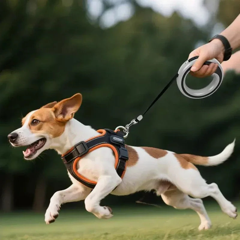 Laisse rétractable 2,5 m pour chien – Ergonomique – photo produit 4