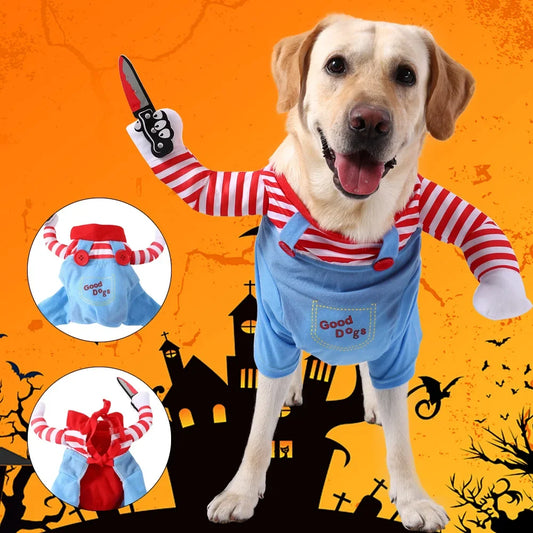 Combinaison chaude pour chien & chat – XS à XL – vue principale