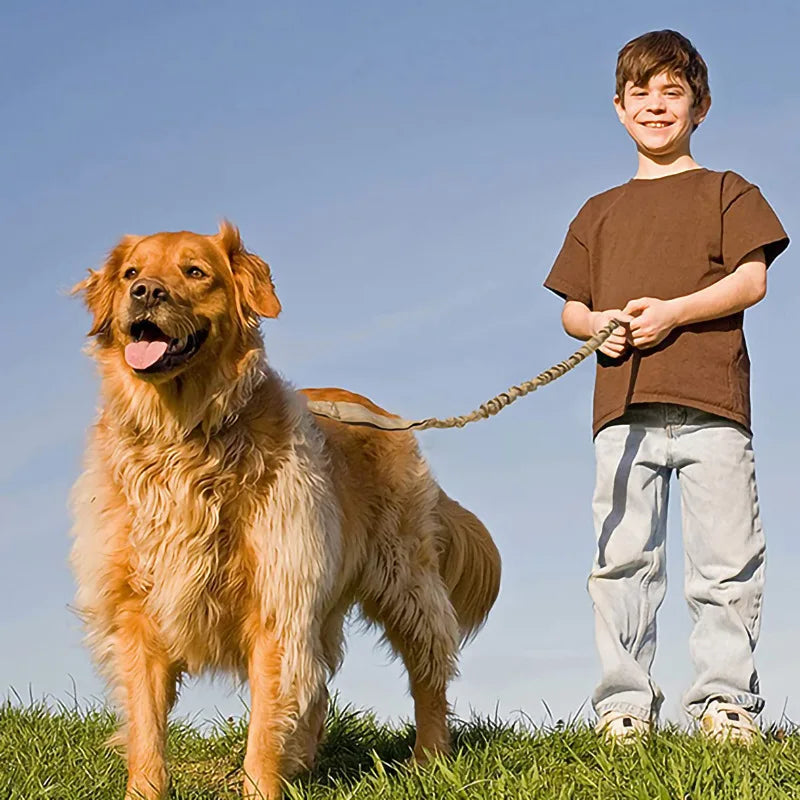 Collier + laisse d’entraînement – Chien moyen & grand – photo produit 4