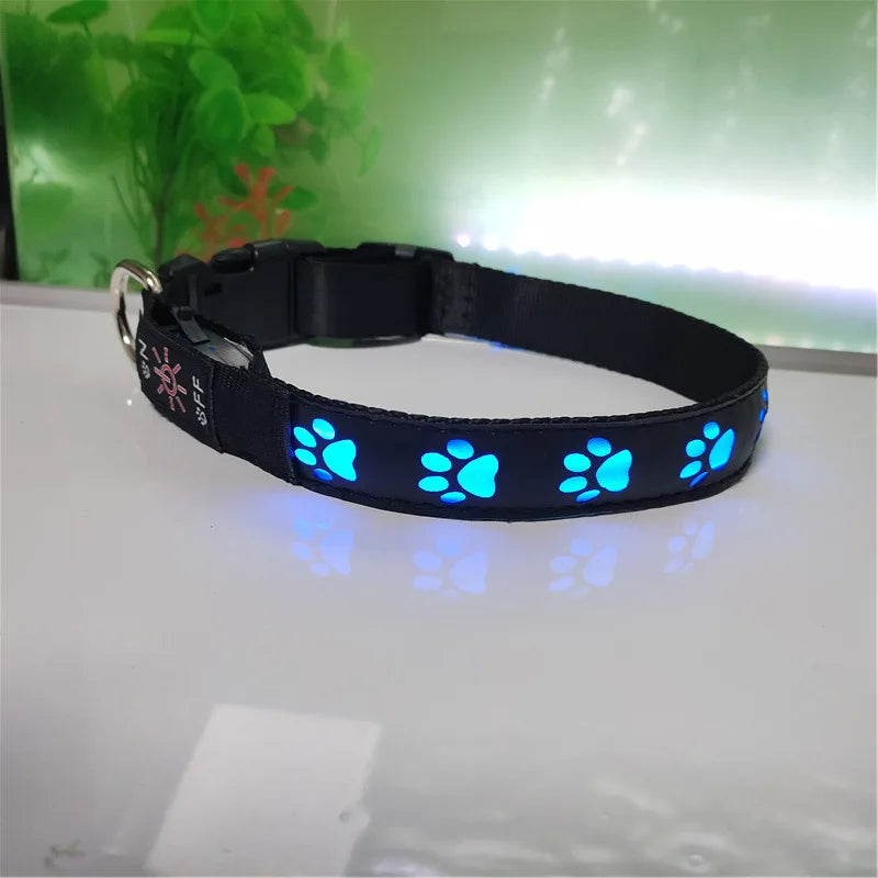 Collier lumineux motif patte – Promenade nocturne – photo produit 4