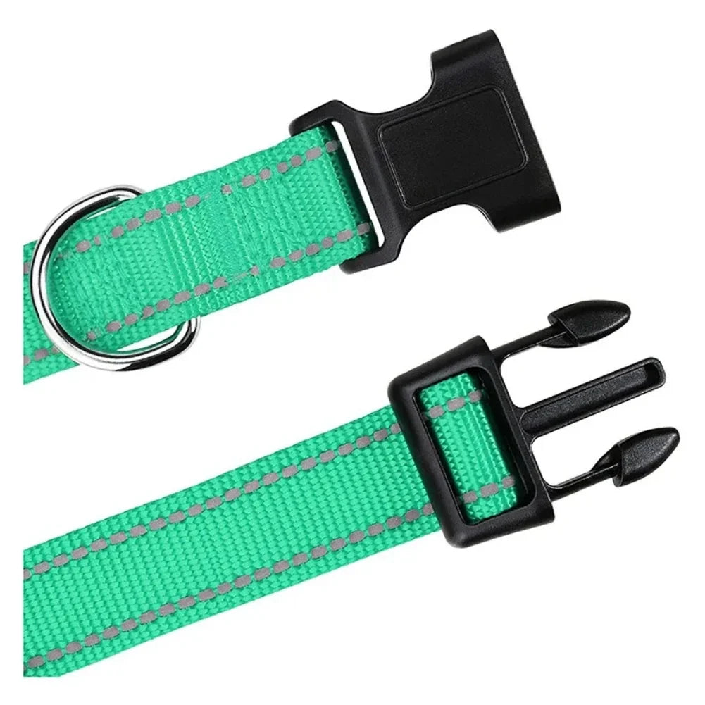 Collier nylon robuste – Petit chien & chiot – photo produit 4