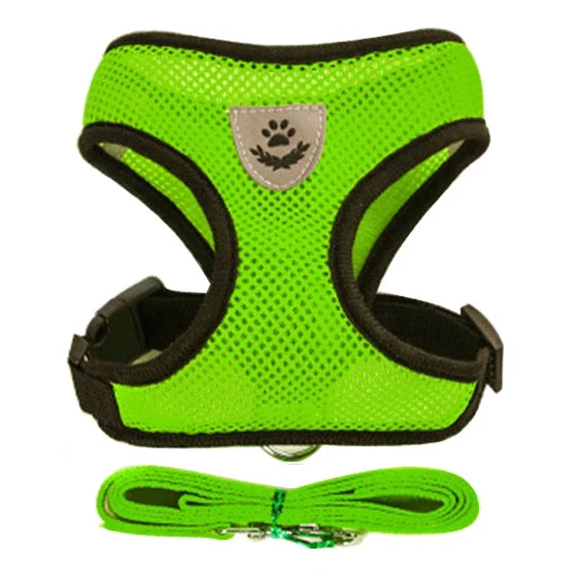 Harnais + laisse en maille respirante – Petit chien & chat – photo produit 8