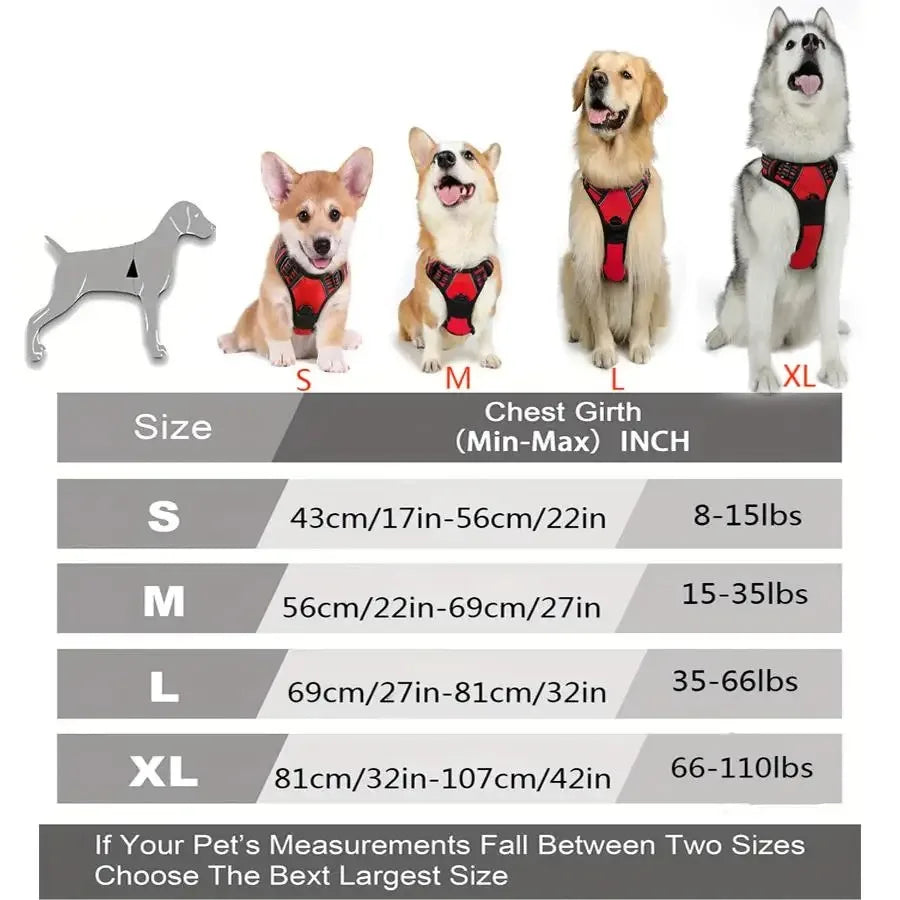 Harnais réglable pour chien – Tailles S à XL – photo produit 6