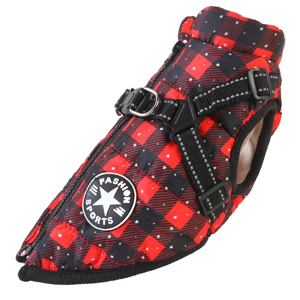 Manteau pour chiens chauds et imperméable. Design "Fashion sport"