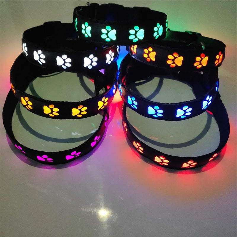 Collier lumineux motif patte – Promenade nocturne – photo produit 3
