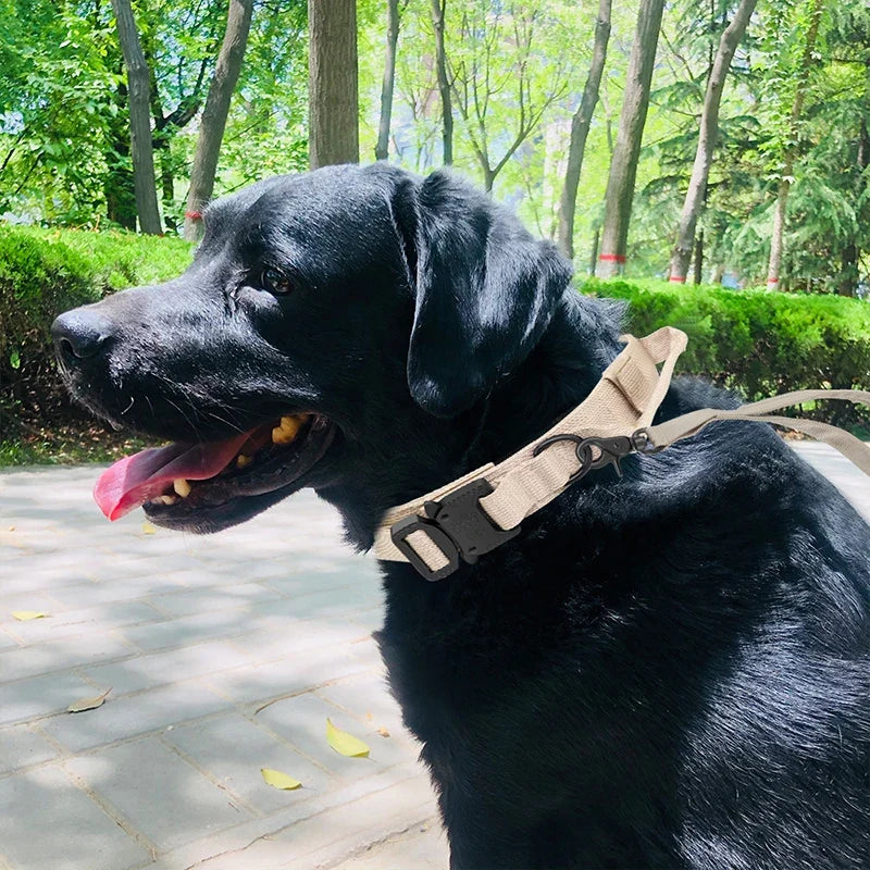 Collier + laisse d’entraînement – Chien moyen & grand – photo produit 5