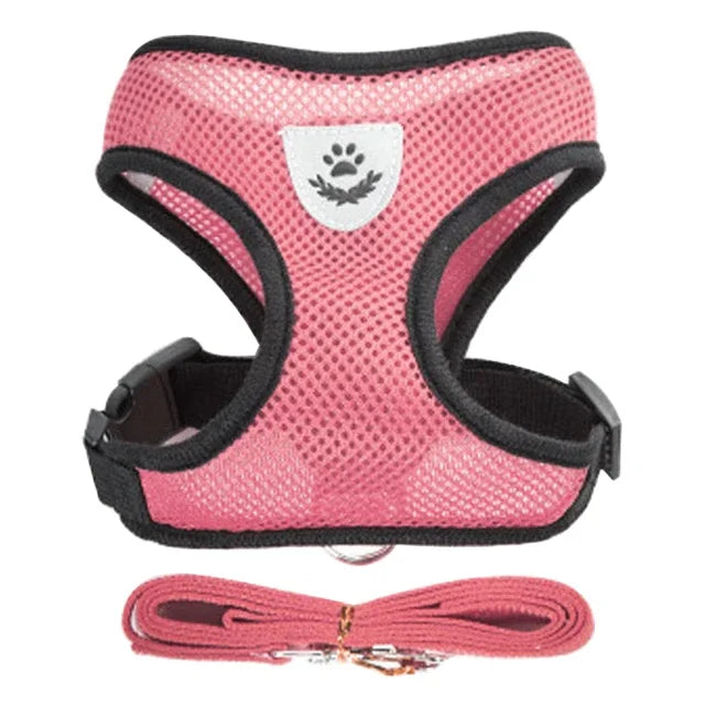 Harnais + laisse en maille respirante – Petit chien & chat – photo produit 14