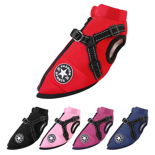 Manteau pour chiens chauds et imperméable. Design "Fashion sport"