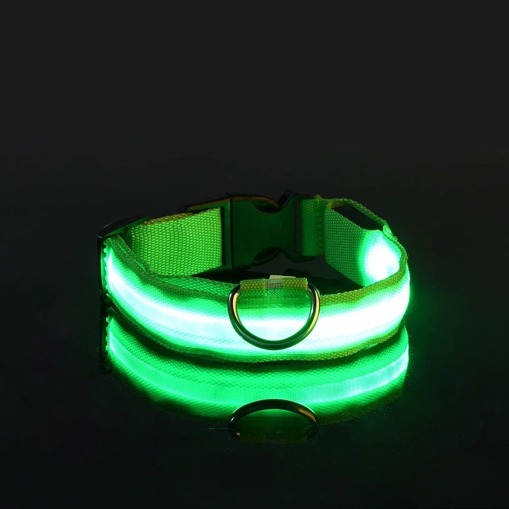 Collier LED clignotant – Sécurité nocturne – photo produit 13