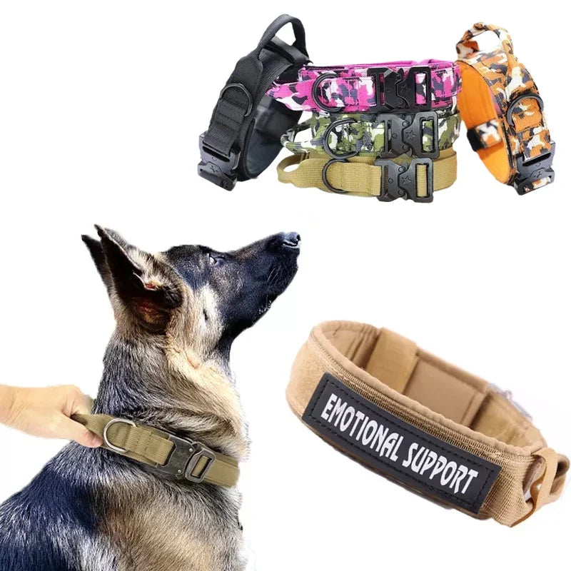 Collier + laisse d’entraînement – Chien moyen & grand – vue principale