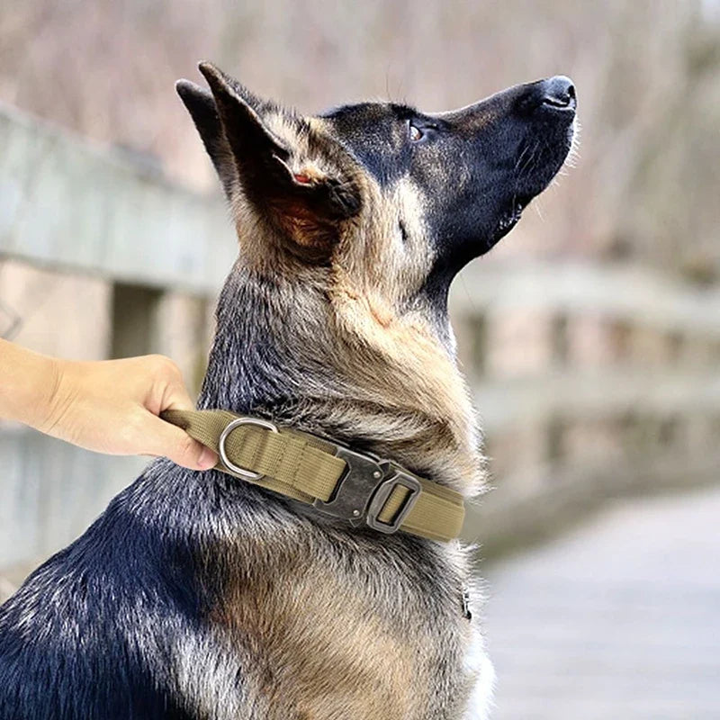 Collier + laisse d’entraînement – Chien moyen & grand – photo produit 3