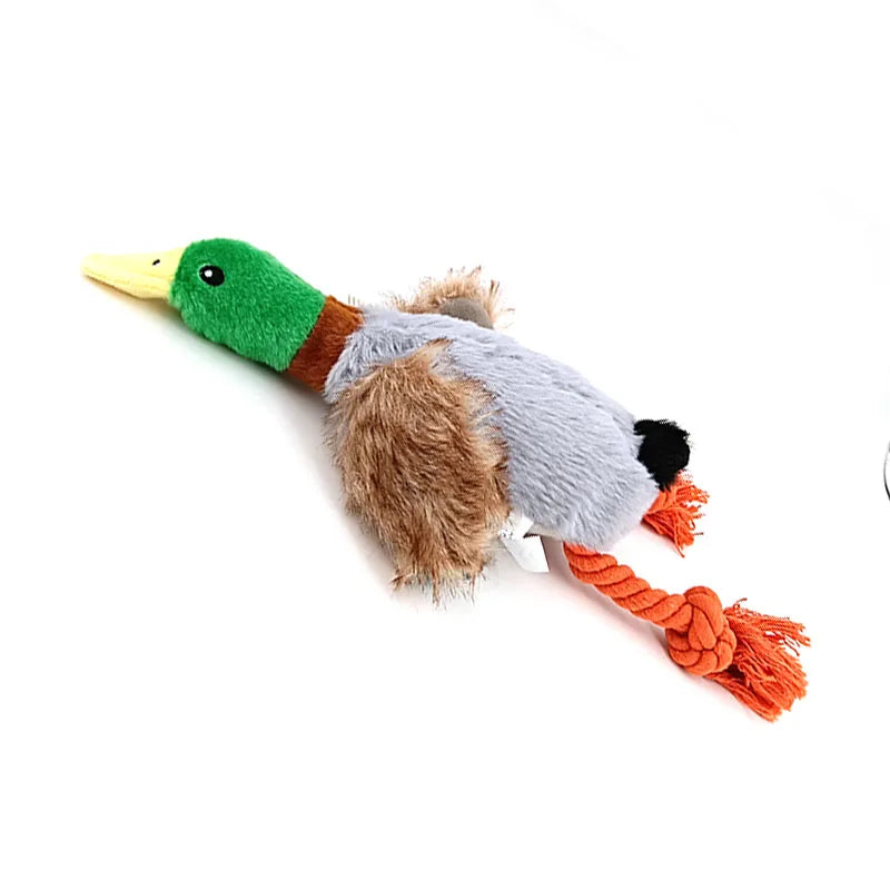 Jouets à mâcher pour chien, canard en peluche mignon, jouet sonore, Animal grinçant, jouet de nettoyage des dents, corde à mâcher pour chien