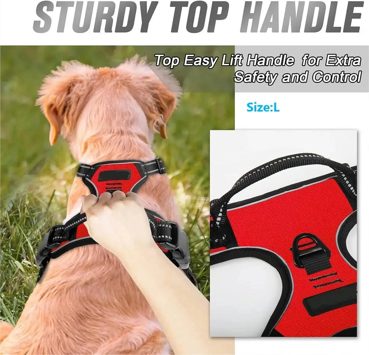 Harnais réglable pour chien – Tailles S à XL – photo produit 4