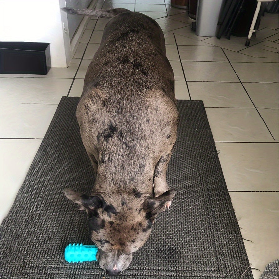 Bâton à mâcher pour chien – Nettoyage des dents – photo produit 9