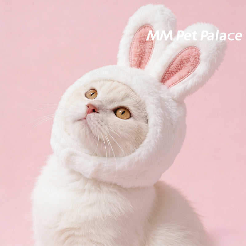 Bonnet lapin pour chat – Costume de Pâques – photo produit 5