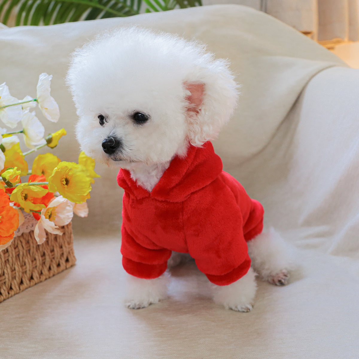 Costume fraise – Sweat à capuche chaud – photo produit 3