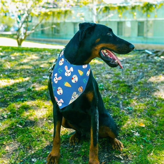 2 bandanas de Pâques pour chien, un bleu et un blanc avec motifs colorés de Pâques