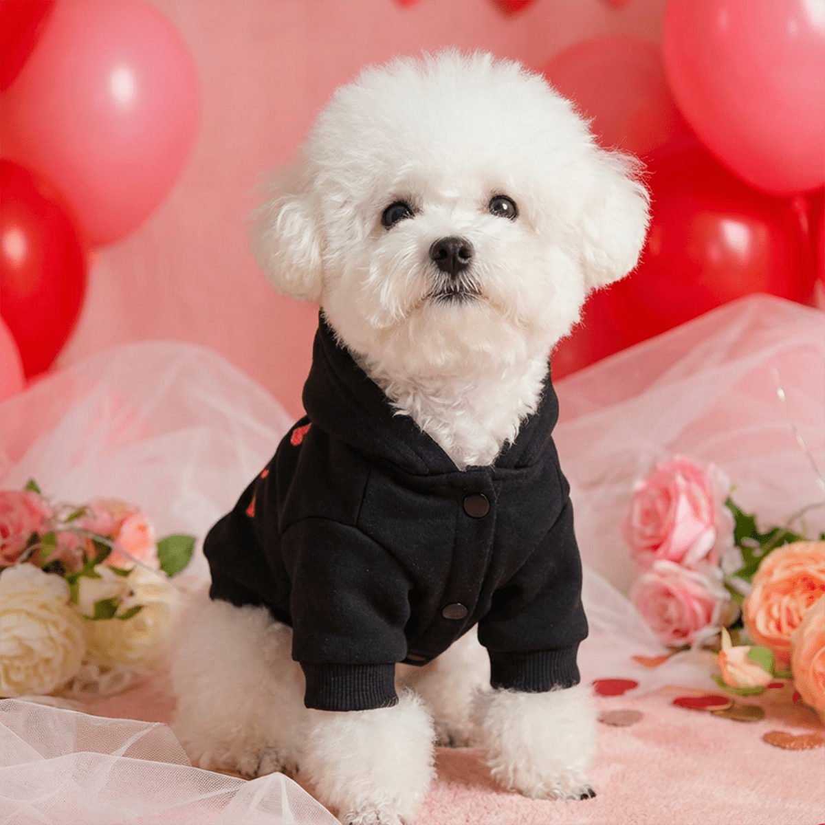 Sweat noir LOVE pour chien – Petits cœurs roses – photo produit 9