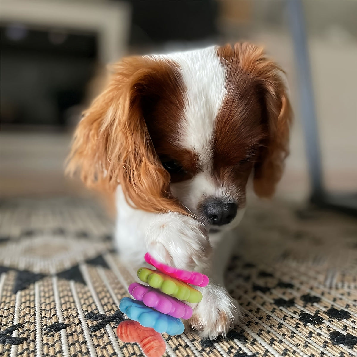 Os à mâcher dentaire – Petit chien & chiot – photo produit 8