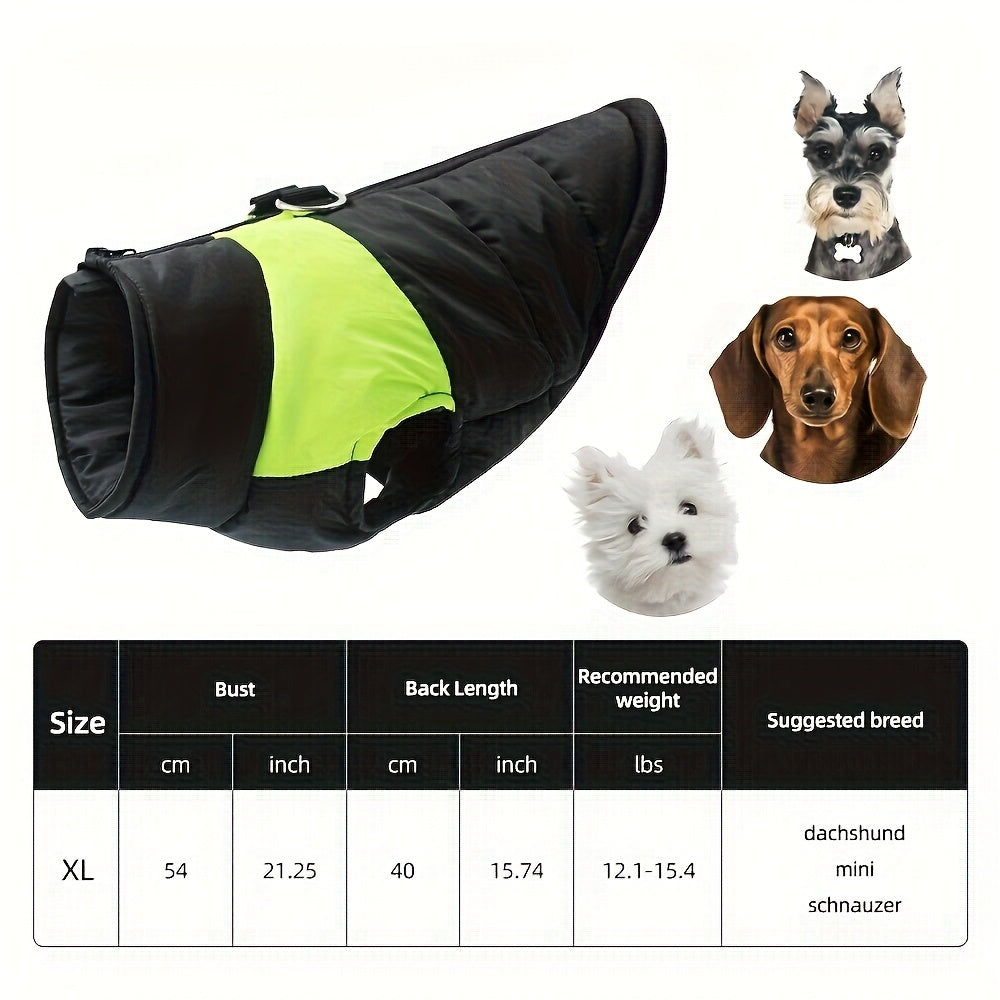 Veste imperméable d'hiver pour chien avec fermeture éclair et boucle pour laisse - Manteau chaud et coupe-vent pour animaux de compagnie de petite à grande taille - Idéal pour les activités de plein air par temps froid