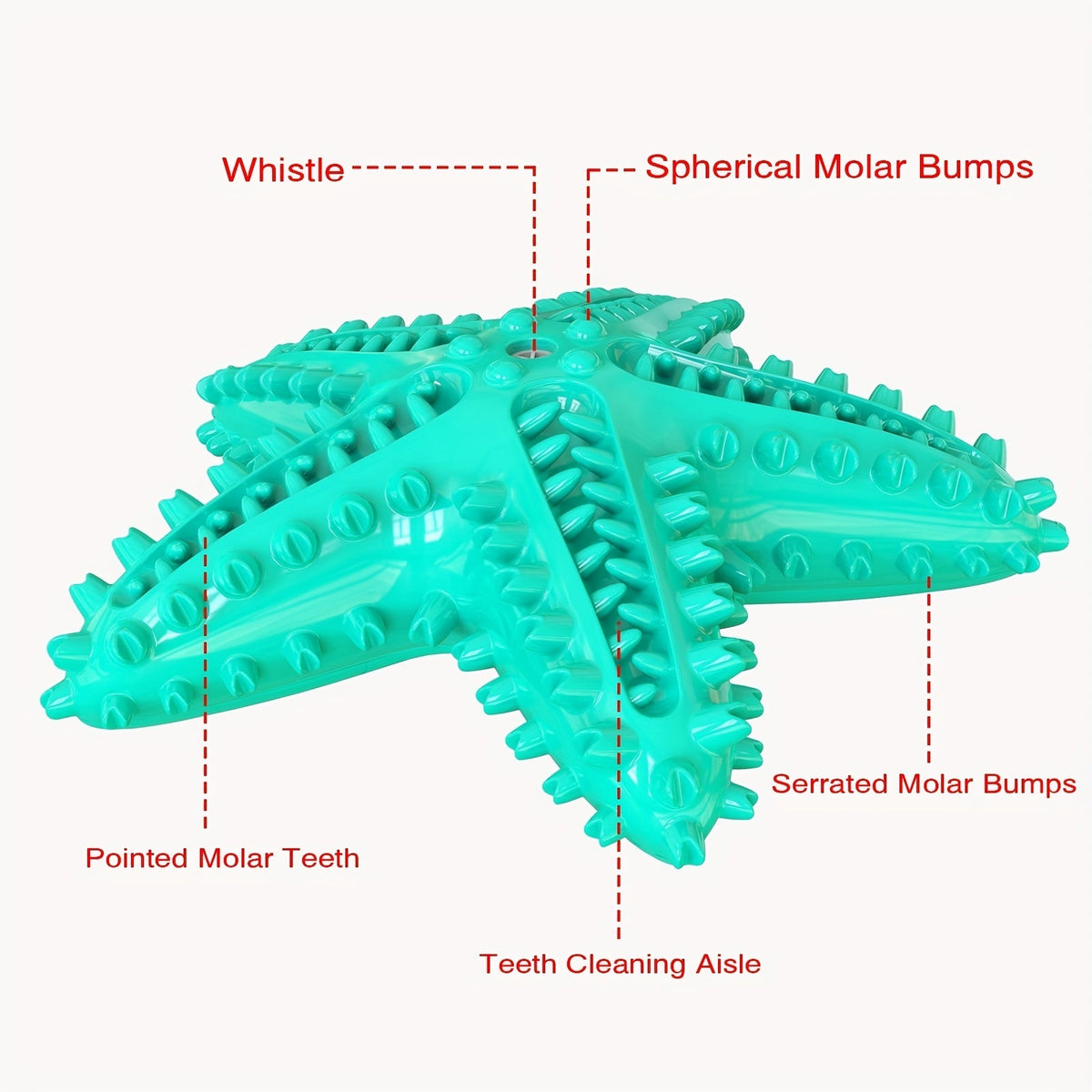 Étoile de mer sonore pour chien – Jouet à mâcher – photo produit 3