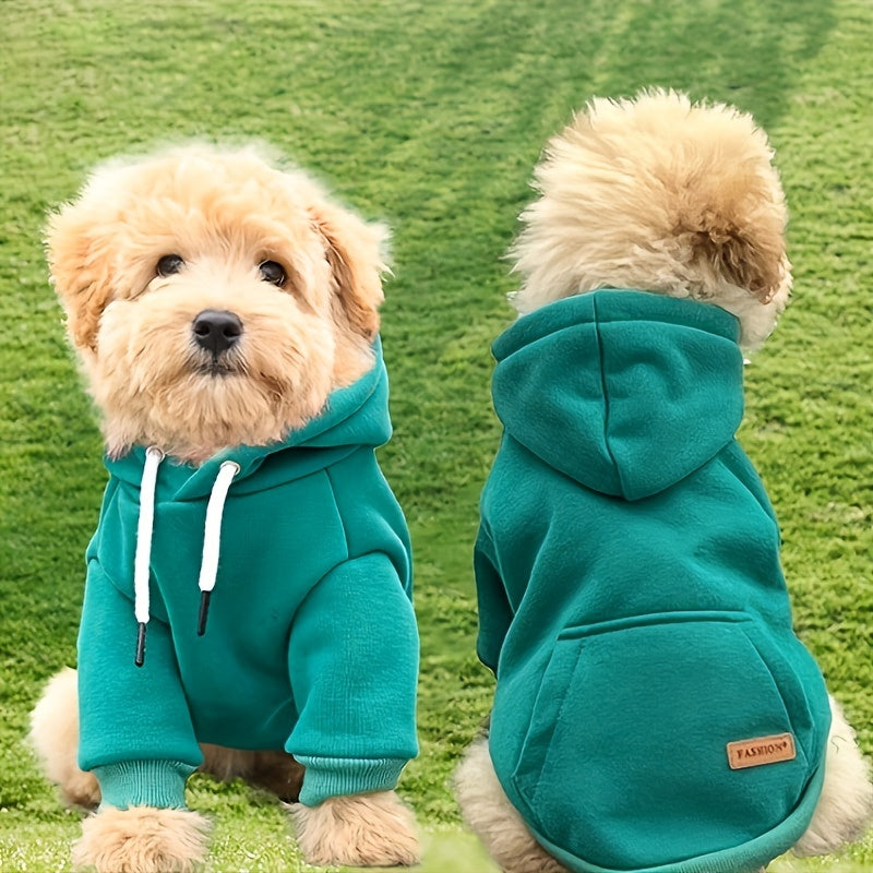 Sweat à capuche en laine mélangée – Petit chien – photo produit 2