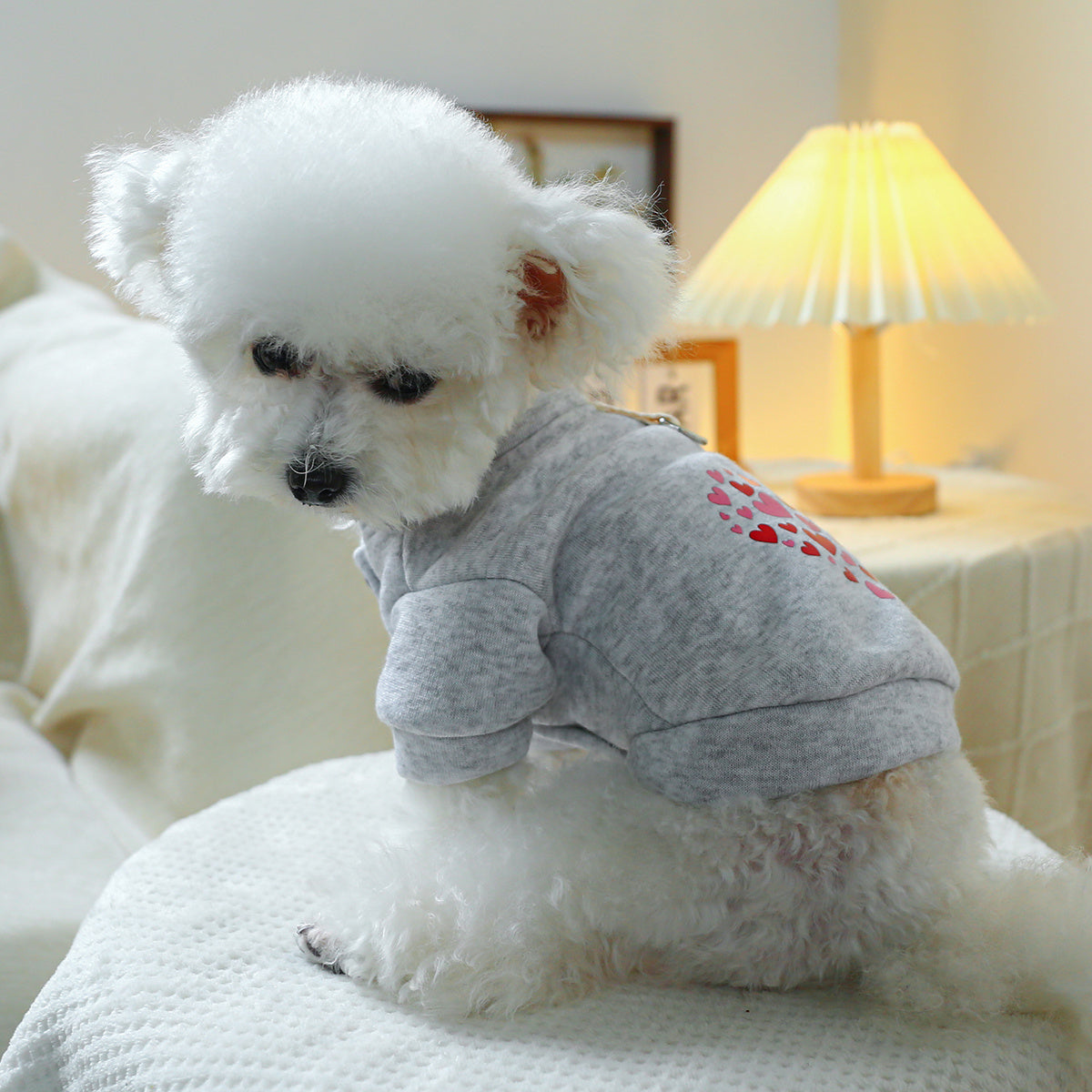 Pull gris à petits cœurs – Anneau pour laisse – photo produit 4