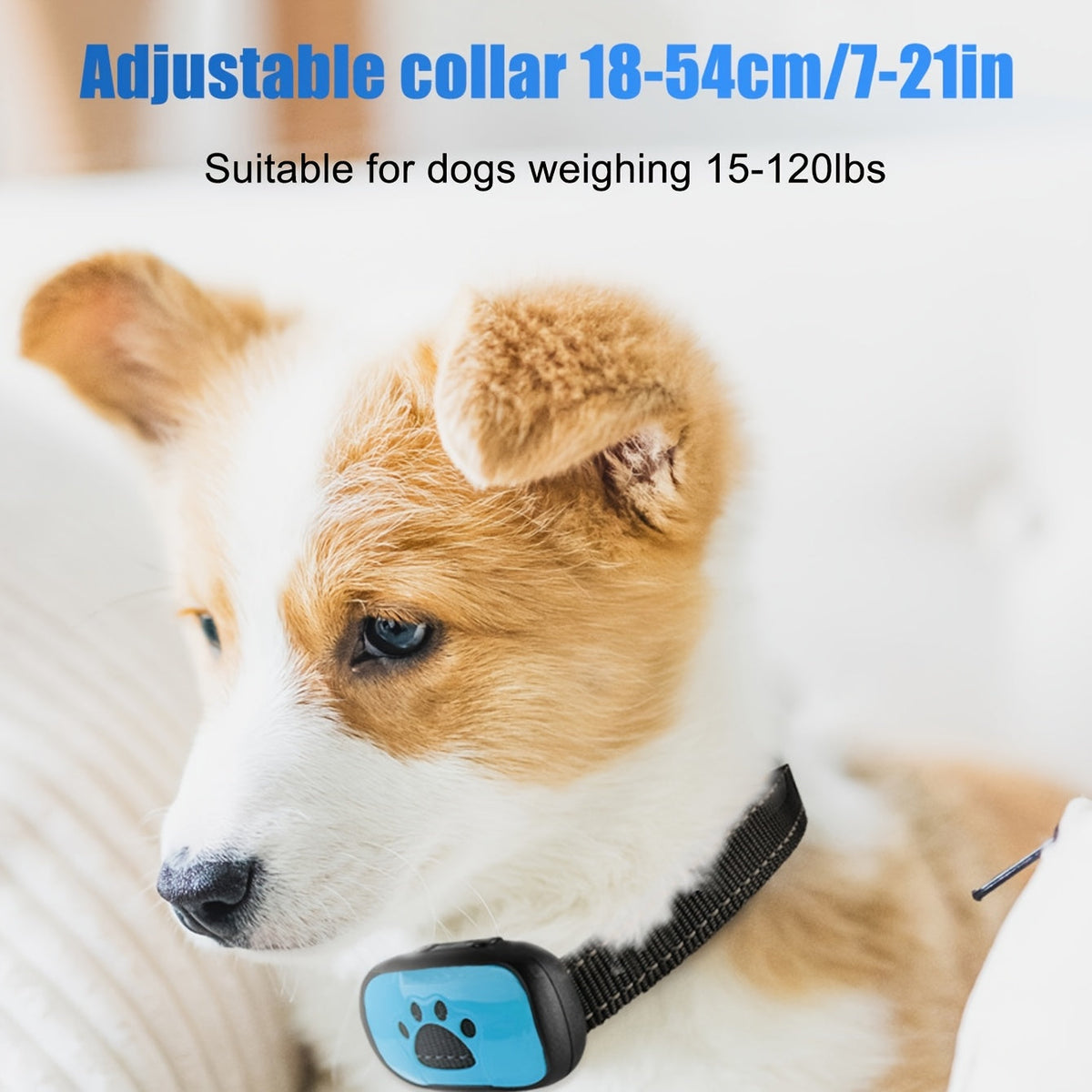 Collier anti-aboiement à vibration – Rechargeable USB – photo produit 6