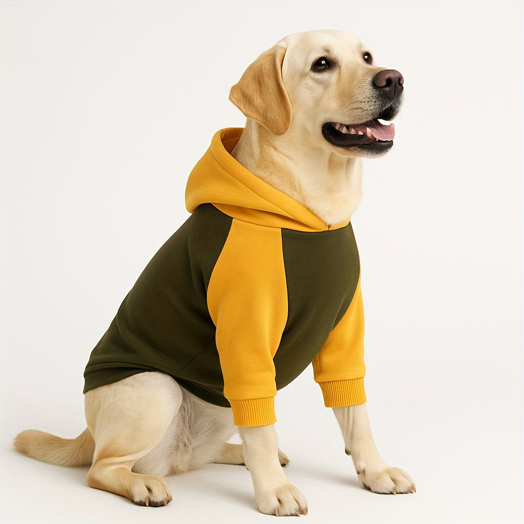 Sweat classique à capuche & poches – Chien – photo produit 7