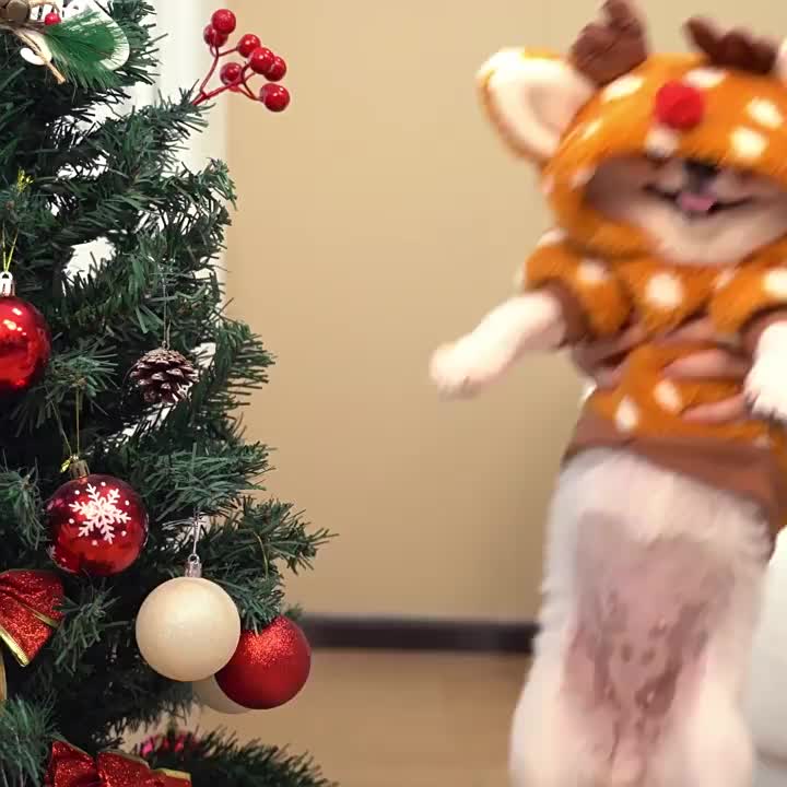 Costume de Noël petite biche – Peluche – photo produit 6