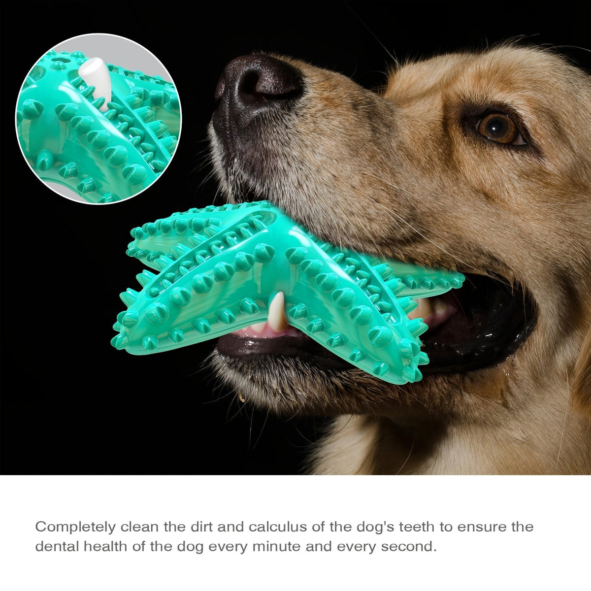 Étoile de mer sonore pour chien – Jouet à mâcher – photo produit 8