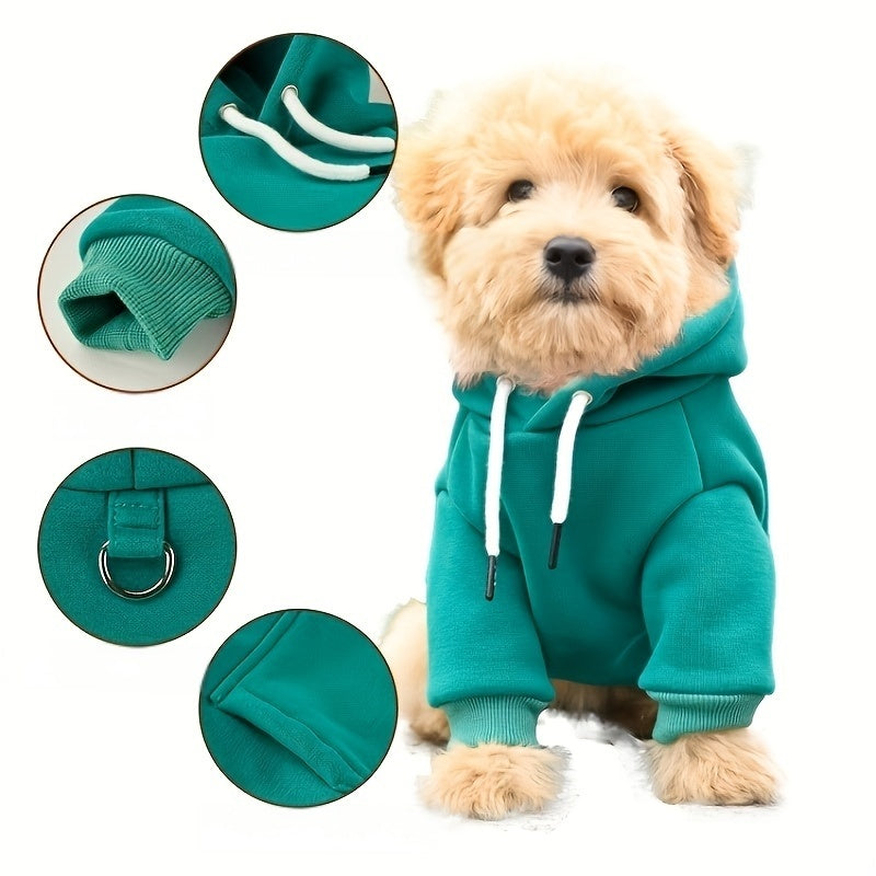 Sweat à capuche en laine mélangée – Petit chien – vue principale