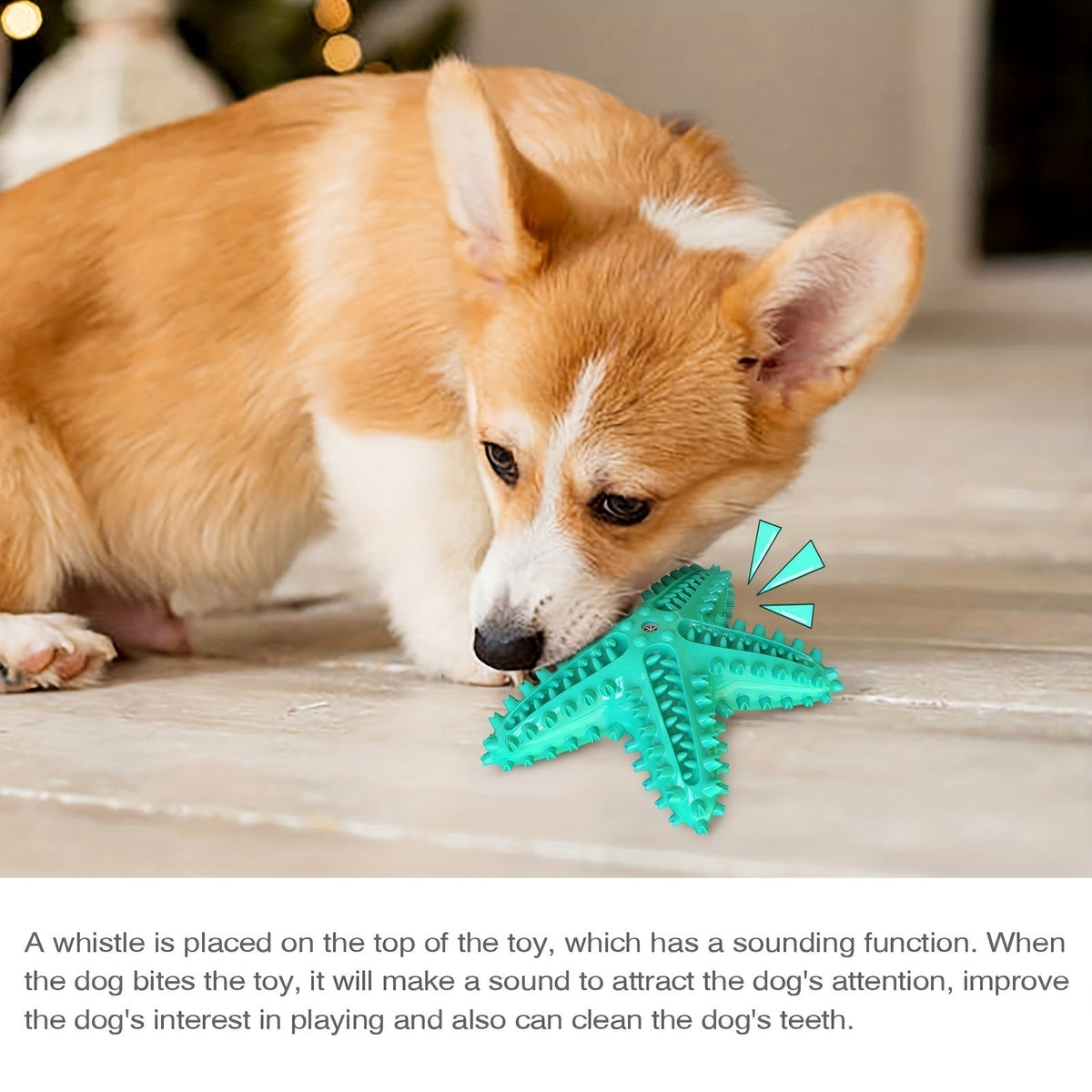 Étoile de mer sonore pour chien – Jouet à mâcher – photo produit 4