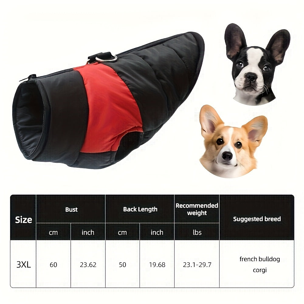 Veste imperméable d'hiver pour chien avec fermeture éclair et boucle pour laisse - Manteau chaud et coupe-vent pour animaux de compagnie de petite à grande taille - Idéal pour les activités de plein air par temps froid