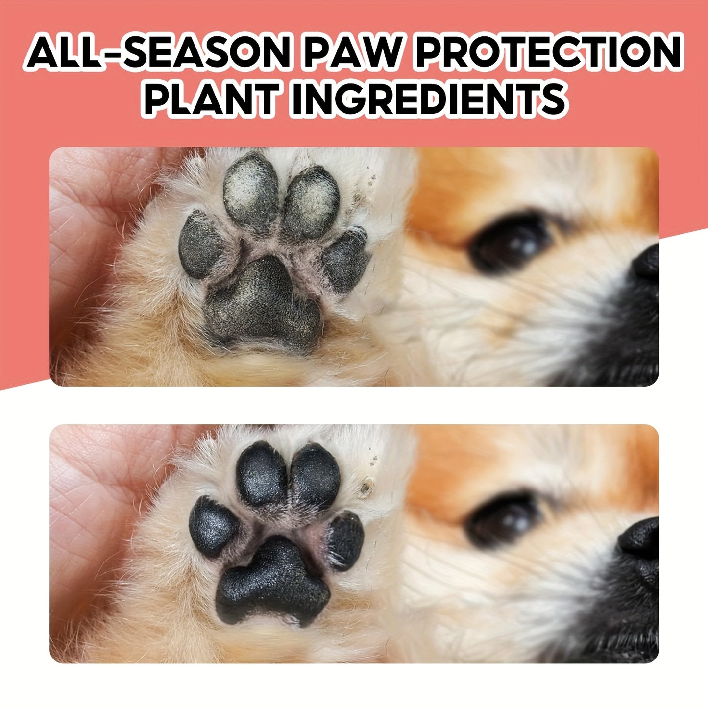 Baume pour pattes et truffe de chien - Hydratation intense grâce à la vitamine E et à l'huile de jojoba