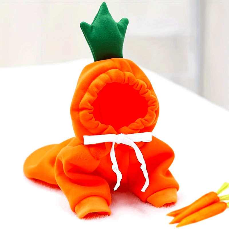 Costume fruit & légume – Carotte, tomate ou banane – vue principale