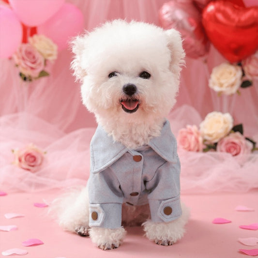 Veste en jeans pour petit chien, écriture rose "Daddy's Princess" et motif de couronne avec perles.
