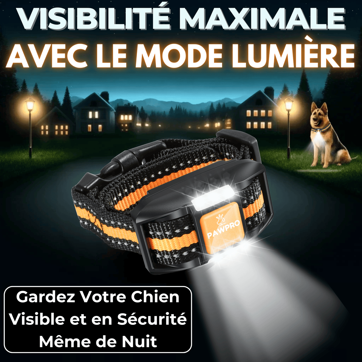 Collier de dressage PAWPRO – Télécommande longue portée – photo produit 3
