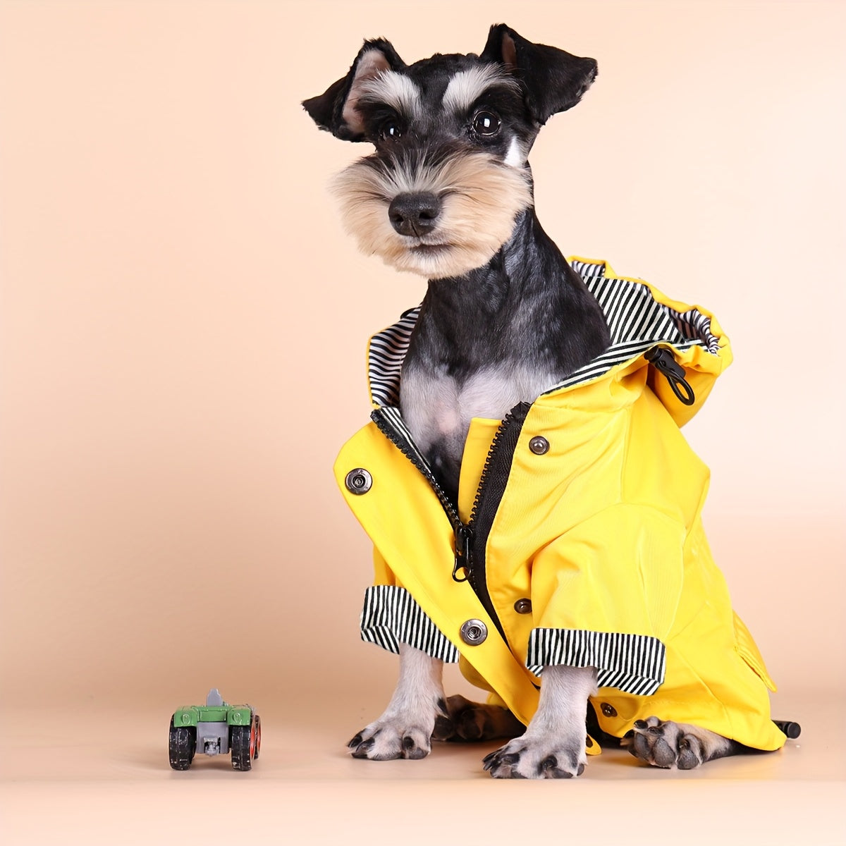 Veste imperméable rayée – Petit chien – photo produit 3
